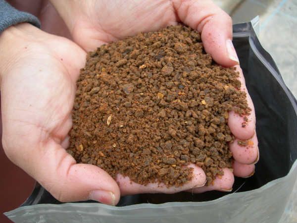 バラの寒肥に適した有機質肥料の成分とおすすめの寒肥について