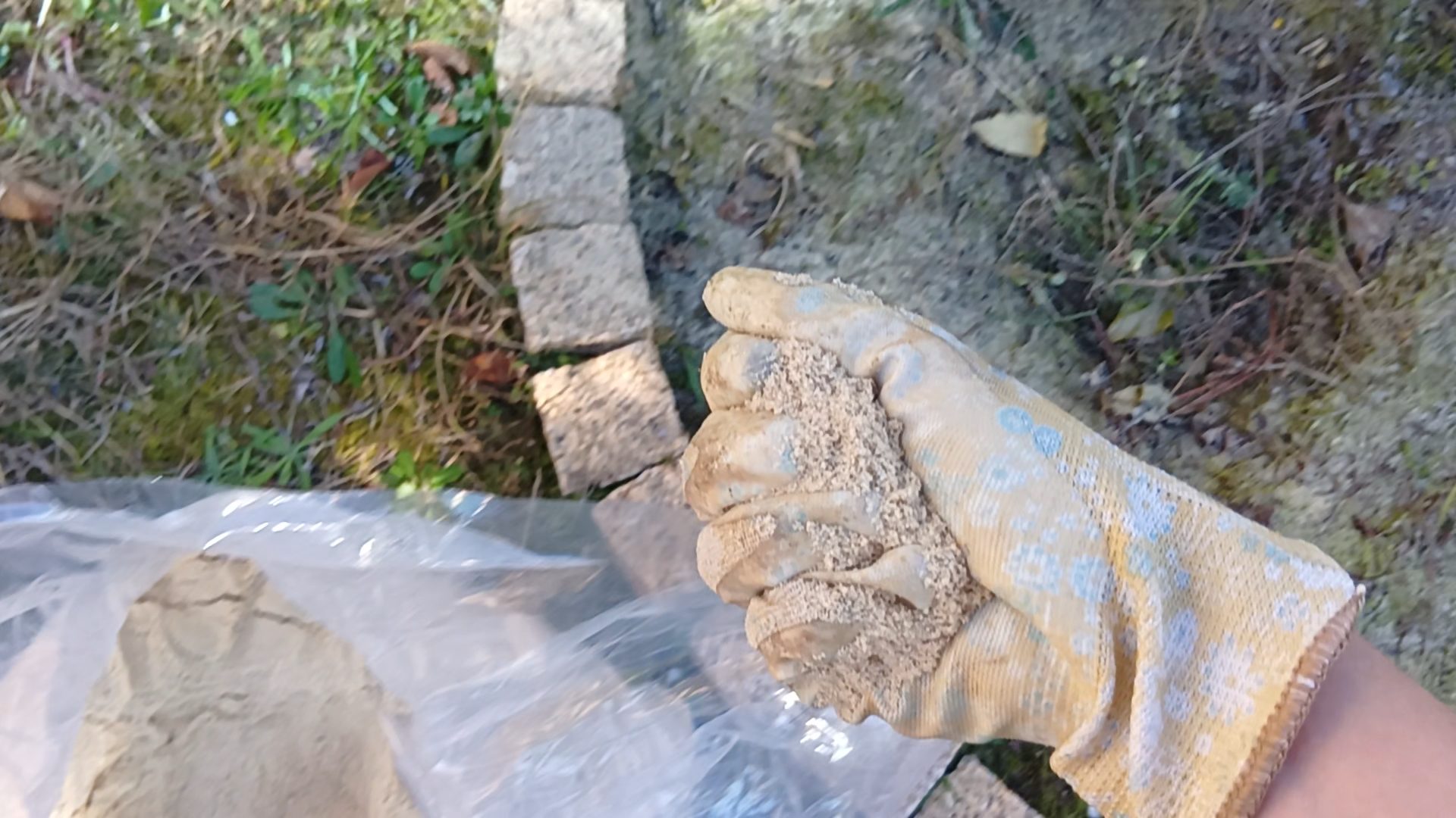 無農薬のバラ栽培は米ぬかにお任せ！オーガニック栽培の良書見つけました