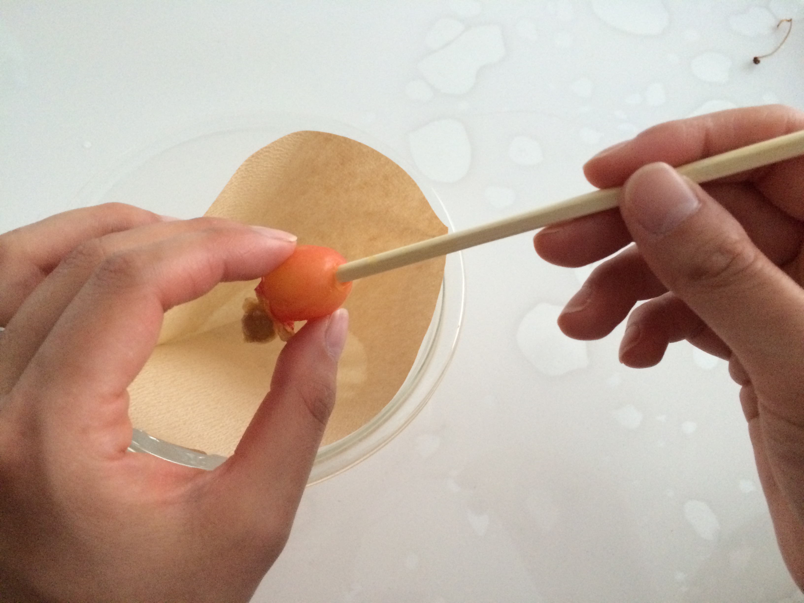 さくらんぼジャムの作り方とさくらんぼの種を簡単に取る方法