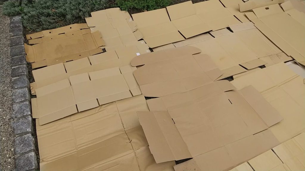 ダンボールマルチ